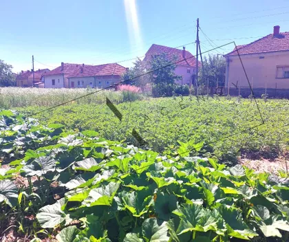 Gradske lokacije | 4zida.rs