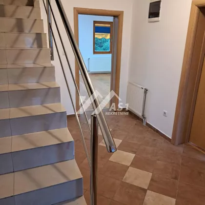 Zuzane Halupove | 4zida.rs