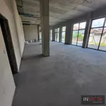 Lokal | 4zida
