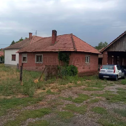 Sepci | 4zida.rs