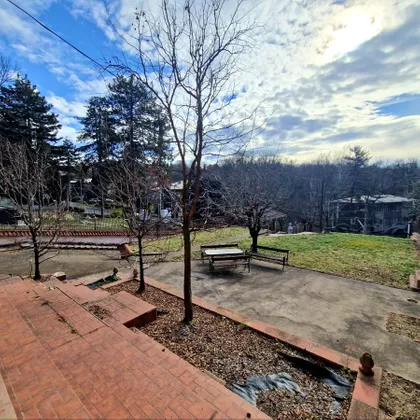 Teodora Drajzera | 4zida.rs