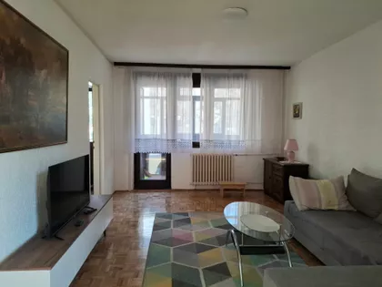 Ulofa Palmea 26 | 4zida.rs