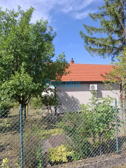 Koste Vujića | 4zida.rs