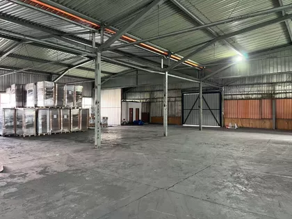 Ive Lole Ribara bb | 4zida.rs