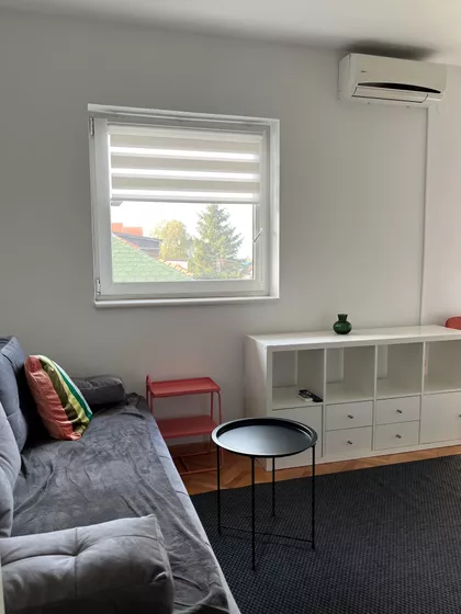 Dragoslava Srejovića | 4zida.rs