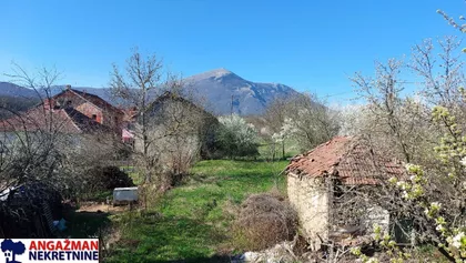 Dragiše Petrovića | 4zida.rs