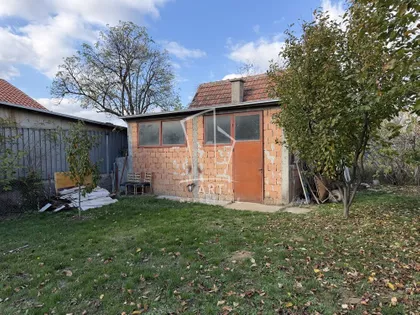 Žarka Savića | 4zida.rs