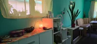 Bačka Topola, Okolne lokacije, Pačir | 4zida.rs | 4zida.rs