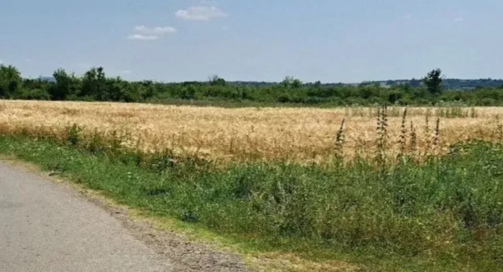 Poljoprivredno zemljište | 4zida