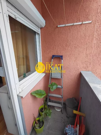 Milana Grola | 4zida.rs