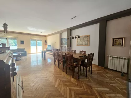 Dijane Budisavljević | 4zida.rs