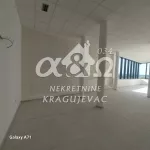 Lokal | 4zida