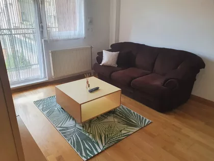 Dr Svetislava Kasapinovića | 4zida.rs