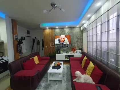 Miljana Miljanića | 4zida.rs