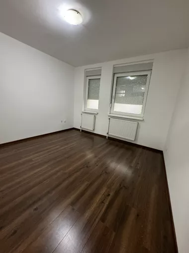 Miše Dimitrijevića