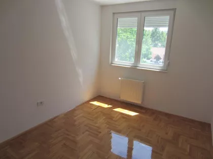 Crveni Pevac | 4zida.rs