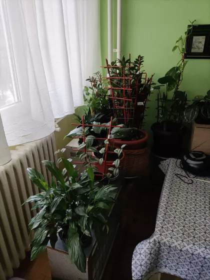 Kanarevo Brdo | 4zida.rs