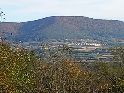 Milije Uroševića | 4zida.rs