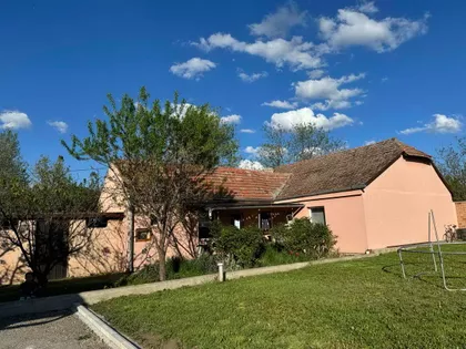 Zeleno Polje | 4zida.rs