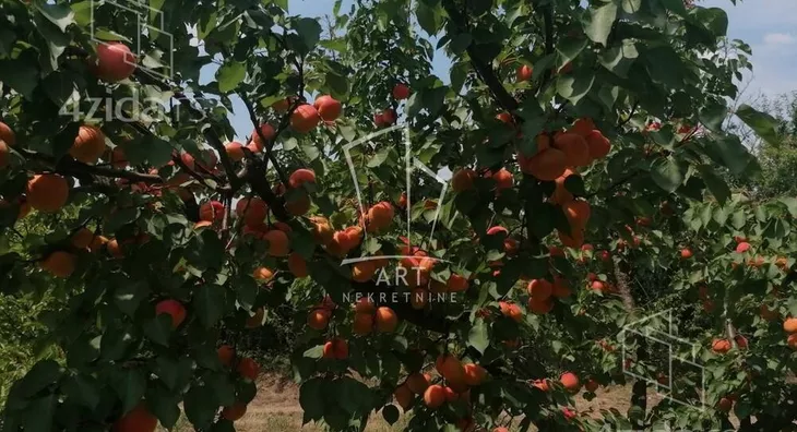 Poljoprivredno zemljište | 4zida