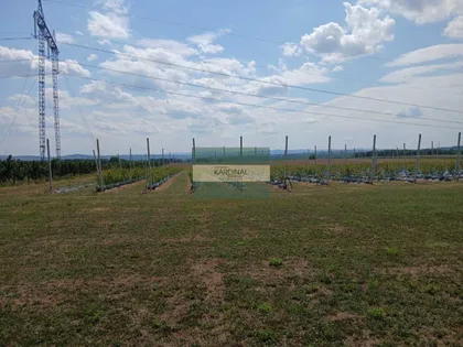 Međureč | 4zida.rs