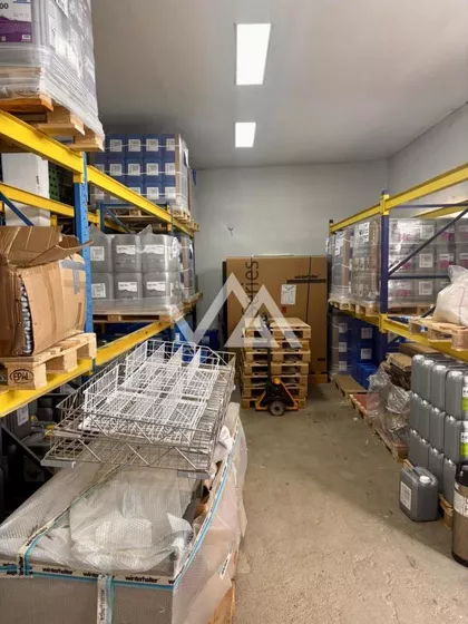 Petra Maravića | 4zida.rs