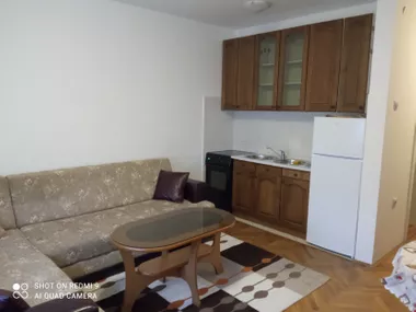 Puškinova