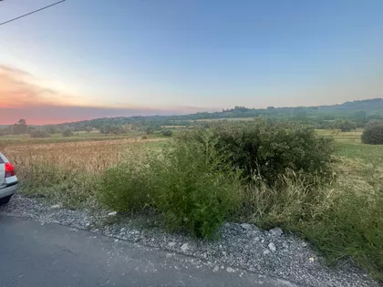 Popović | 4zida.rs