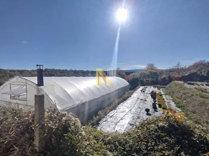 Sremska Kamenica | 4zida.rs