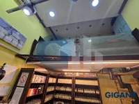 Lokal | 4zida