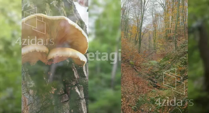 Poljoprivredno zemljište | 4zida