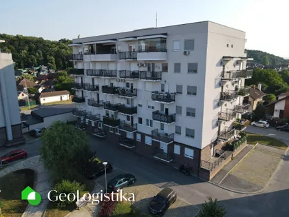 Veljka Vlahovića | 4zida.rs