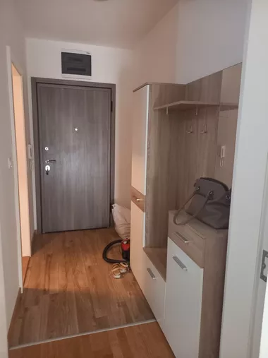 Janka Veselinovića