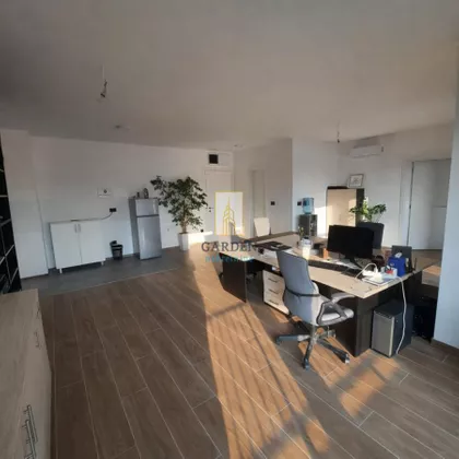 Dragoslava Srejovića | 4zida.rs