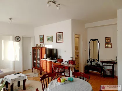 Jelisavete Andrejević | 4zida.rs