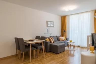 Žike Valjarevića