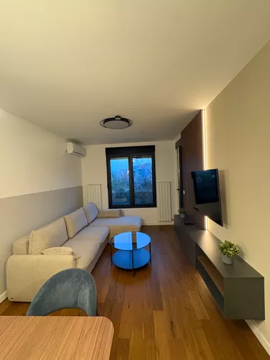 Miše Dimitrijevića 53A