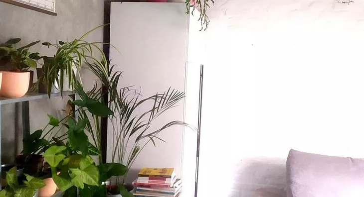 Petoiposoban stan | 4zida