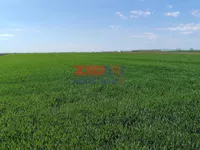 Stari Banovci, Okolne lokacije, Stara Pazova | 4zida.rs