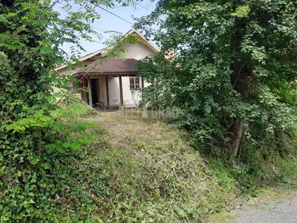 Miška Erčevića | 4zida.rs