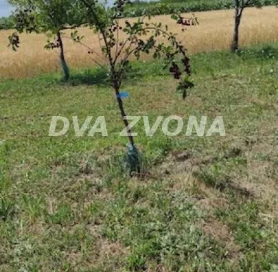 Poljoprivredno zemljište | 4zida