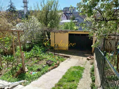 Roze Luksemburg | 4zida.rs