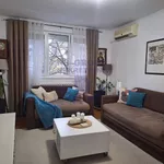 Stara Detelinara, Detelinara, Gradske lokacije, Novi Sad | 4zida.rs | 4zida.rs
