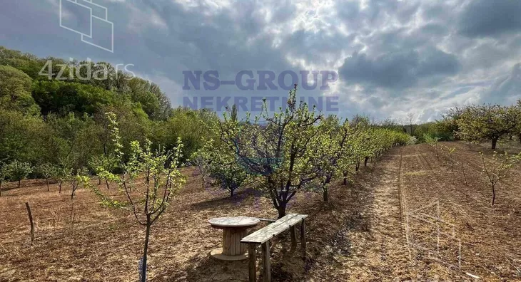 Poljoprivredno zemljište | 4zida