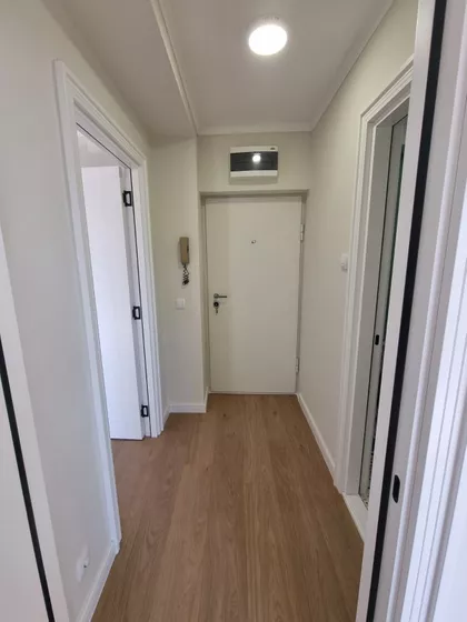 Topličin Venac | 4zida.rs