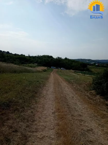 Zavojice | 4zida.rs