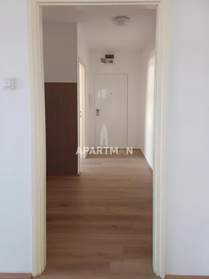 Pera Ćetkovića | 4zida.rs