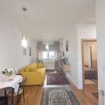 Novi Sad - Centar, Stari Grad, Gradske lokacije, Novi Sad | 4zida.rs | 4zida.rs