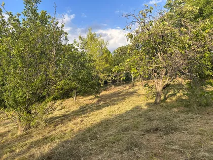 Krčedin | 4zida.rs
