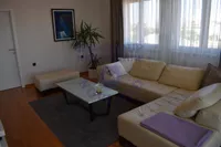 Novo Naselje, Gradske lokacije, Novi Sad | 4zida.rs | 4zida.rs